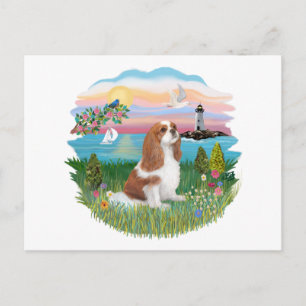 Cartão Postal Farol - Cavaleiro (BL-F)