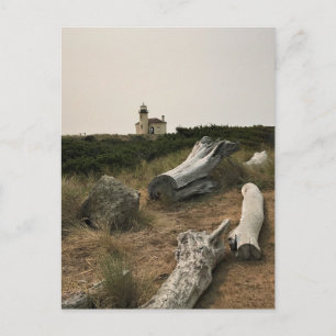 Cartão Postal Farol do Coquille River, OU