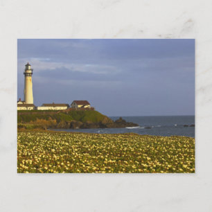 Cartão Postal Farol em Pigeon Point State Beach em San