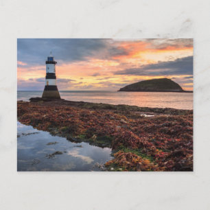 Cartão Postal Farol Penmon Ilha Puffin