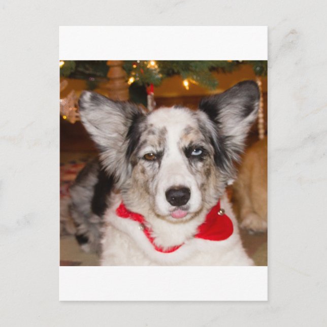 Cartão Postal Farsa de Bah!!! (Frente)