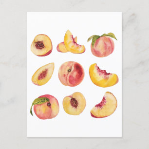Cartão Postal Fatias de pêssego frescas e coloridas em aquarela,