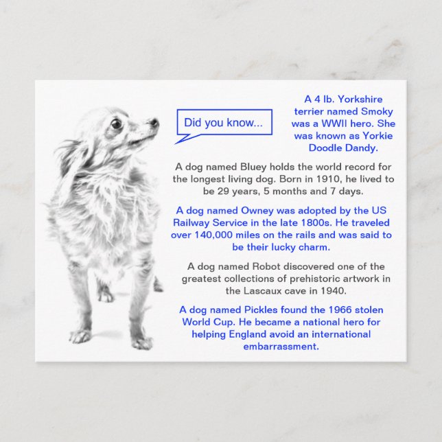 Cartão Postal Fatos de diversão de cães famosos (Frente)