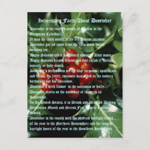 Cartão Postal Fatos Interessantes Sobre Dezembro