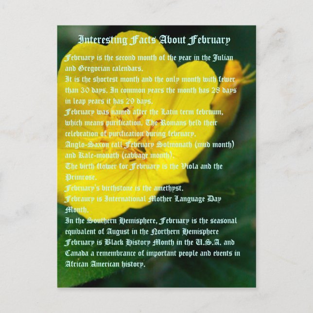 Cartão Postal Fatos interessantes sobre fevereiro (Frente)