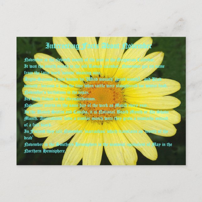 Cartão Postal Fatos interessantes sobre novembro (Frente)