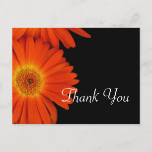 Cartão Postal Favor de casamento com flores elegantes de gerbera