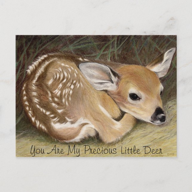 Cartão Postal Fawn (Frente)
