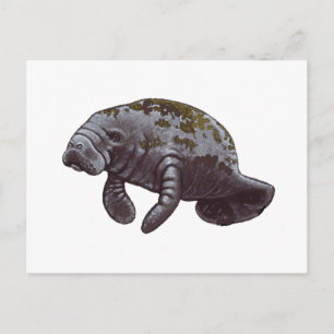 CARTÃO POSTAL FAZ-NOS FELIZES