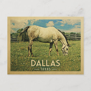 Cartão Postal Fazenda de Cavalo de Dallas Texas - Viagens vintag