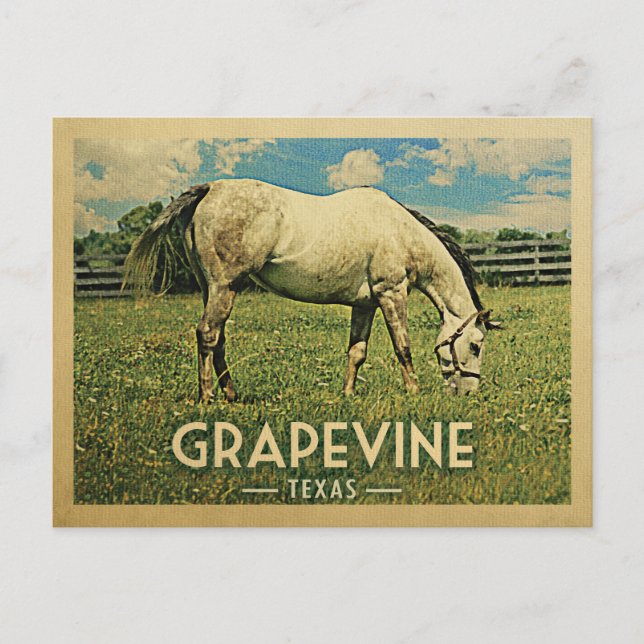 Cartão Postal Fazenda de Cavalo de Grapevine Texas - Viagens vin (Frente)