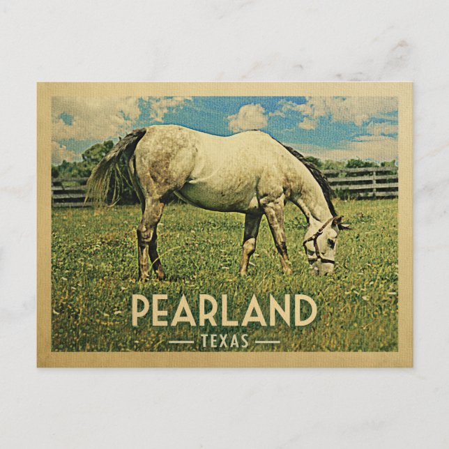 Cartão Postal Fazenda de Cavalo de Pearland Texas - Viagens vint (Frente)