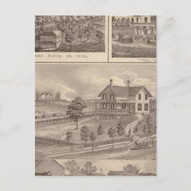 Cartão Postal Fazenda de gado (Frente)