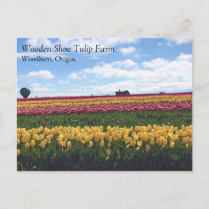 Cartão Postal Fazenda de Tulipas de Sapato de Madeira, Woodburn,