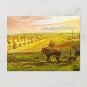 Cartão Postal Fazenda - Finlândia - Campo de esperança 1899