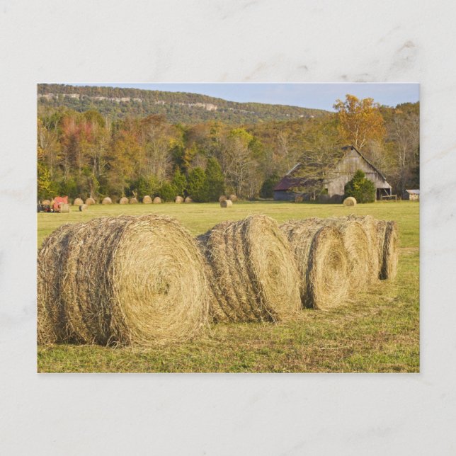 Cartão Postal Fazenda histórica no rio nacional do búfalo, (Frente)