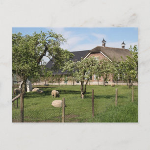 Cartão Postal Fazenda holandesa