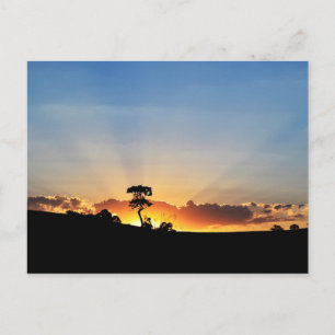 Cartão Postal Fazenda Londrina do por do sol