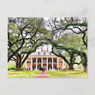 Cartão Postal Fazenda Oak Alley