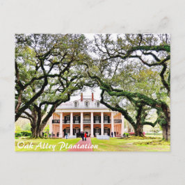 Cartão Postal Fazenda Oak Alley