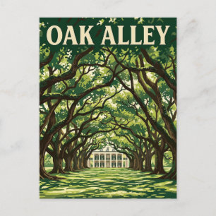 Cartão Postal Fazenda Oak Alley