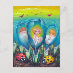 Cartão Postal Fazenda Pixie