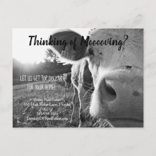 Cartão Postal fazenda vaca referência marketing imobiliário vend