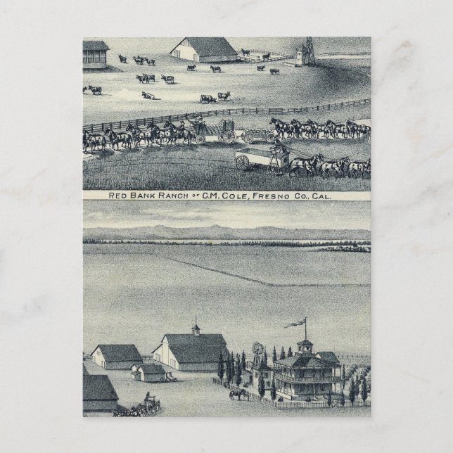 Cartão Postal Fazendas Cole (Frente)