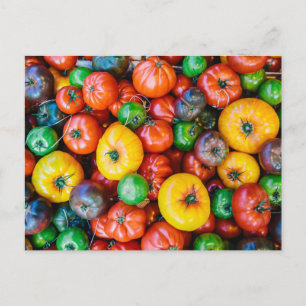 Cartão Postal Fazendas Colheita Colorida de Tomate