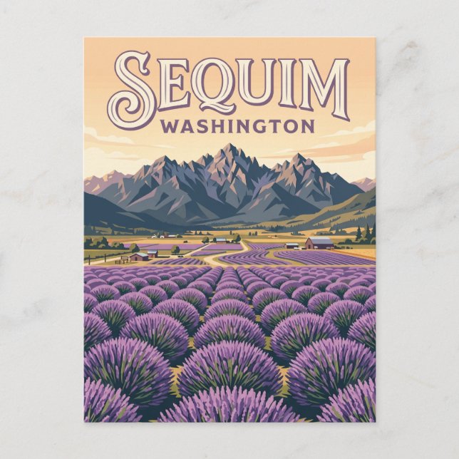 Cartão Postal Fazendas de Lavanda de Sequim Washington (Frente)