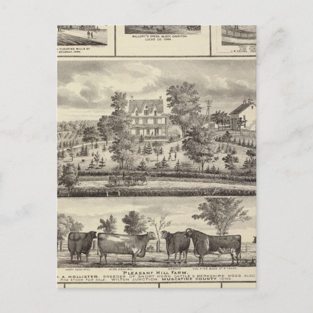 Cartão Postal Fazendas Pleasant Hill em Decorah (Frente)