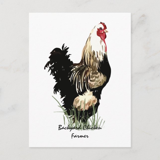 Cartão Postal Fazendeiro de frango com Design de galeria (Frente)