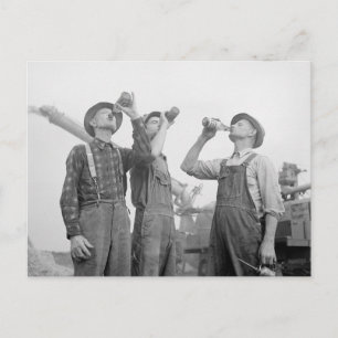 Cartão Postal Fazendeiros Bebendo Cerveja, 1941