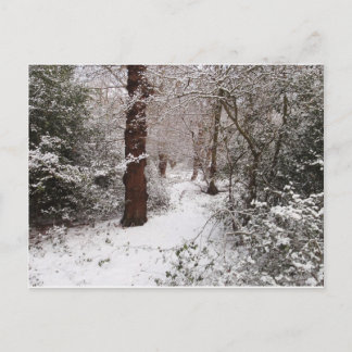 Cartão Postal Fazendo Floresta na neve.