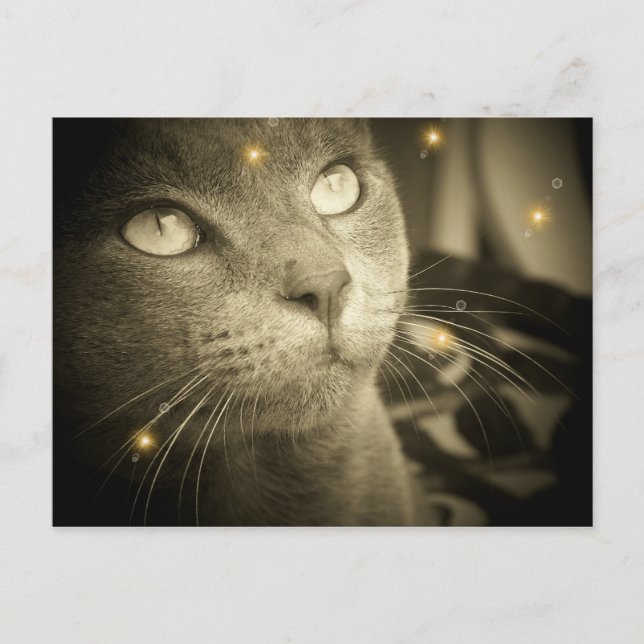 Cartão Postal Fazer a desejo (Frente)