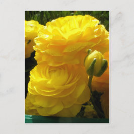 Cartão Postal Fazer Mina Amarelo