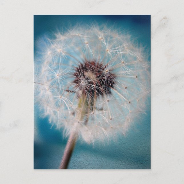 Cartão Postal Fazer um Cartão-Postal de Desejo (Frente)