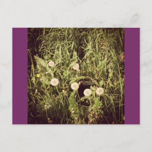 Cartão Postal Fazer Um Cartão-Postal De Desejo