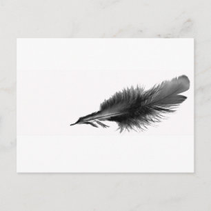 Cartão Postal Feather Black