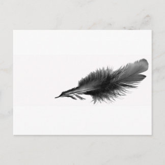 Cartão Postal Feather Black