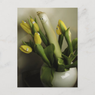 Cartão Postal Febre primavera