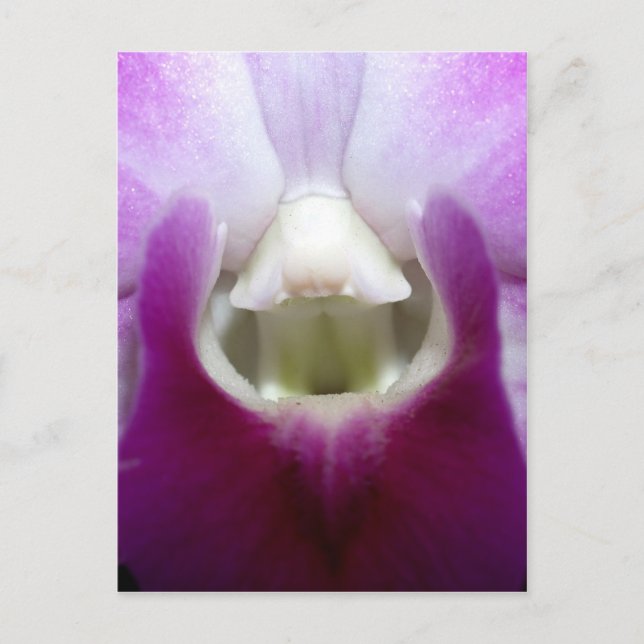 Cartão Postal fechado com a flor de orquídea (Frente)
