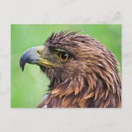 Cartão Postal Fechamento da Águia ouro