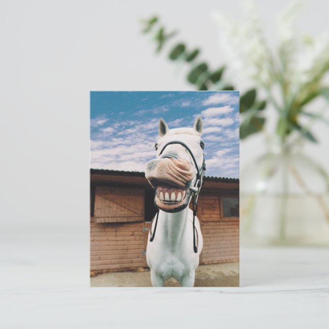 Cartão Fechamento de Cavalo com Boca Aberta