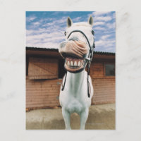 Fechamento de Cavalo com Boca Aberta