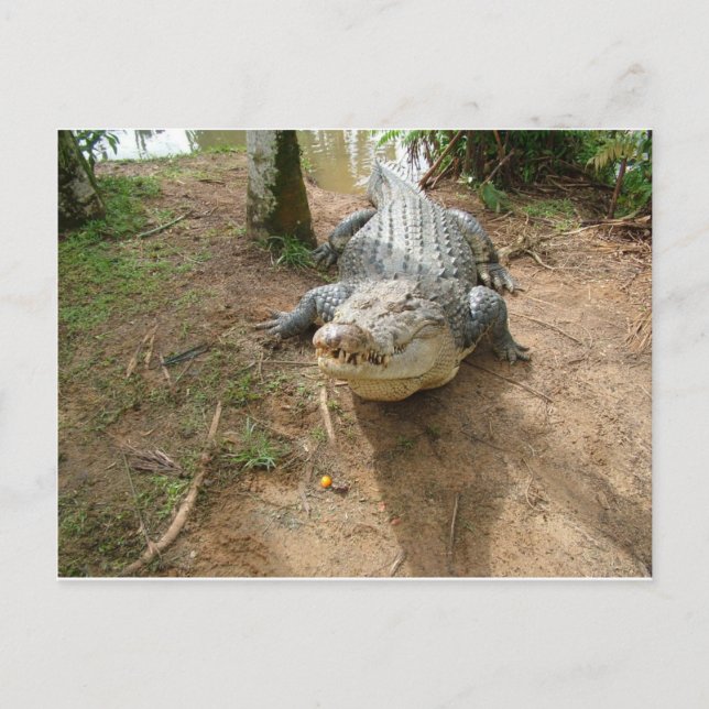 Cartão Postal Fechar Chamada (Frente)