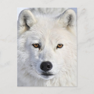 Cartão Postal fechar e pessoal.jpg