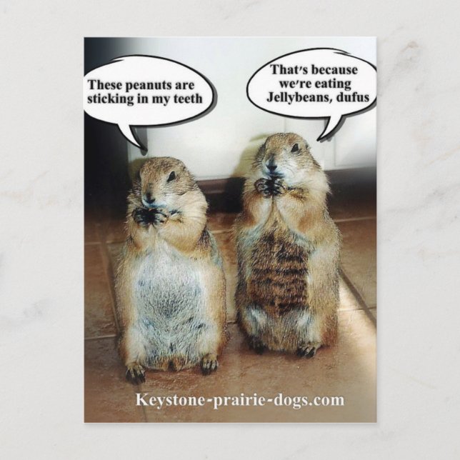 Cartão Postal Feijões de geléia (Frente)