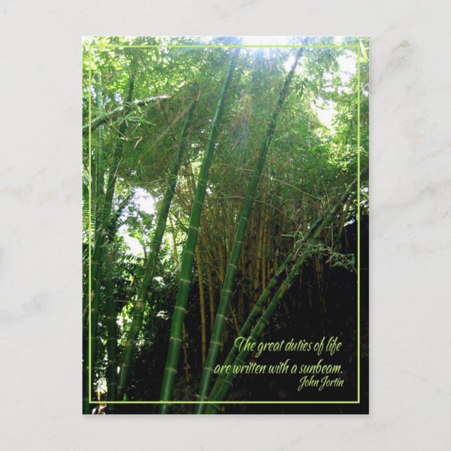 Cartão Postal Feixe (Frente)