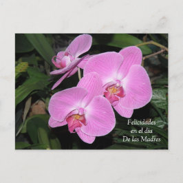 Cartão Postal Felicidades de las Madres